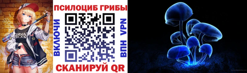 дарнет шоп  Буй  Псилоцибиновые грибы Psilocybe 